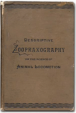 Book by Eadweard Muybridge