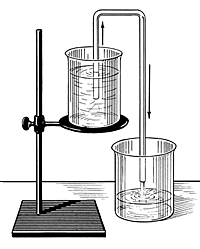 An example of the siphon process.