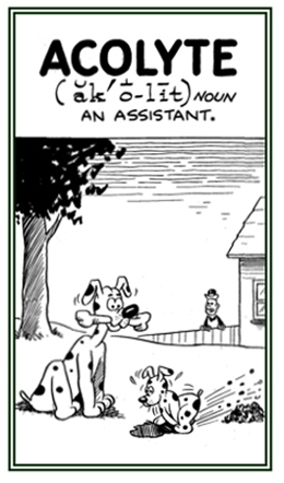 An assistant or follower.
