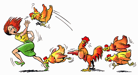 Chickens attack woman.