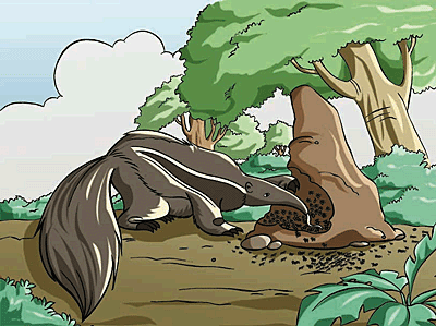 An ant eater or myrmecophage is eating ants.