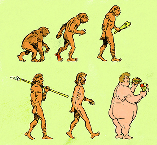 The changes in mankind over the centuries.
