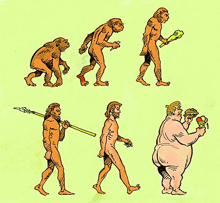 evolution to man