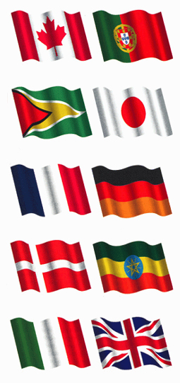 Flags of the world.