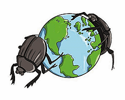 Dung beetles and the global ball of dung.