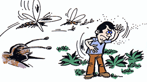 Man fighting off mosquitoes