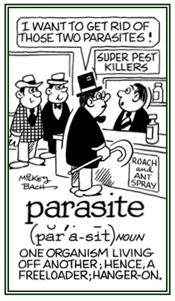 Freeloaders or hangers-on living off another.