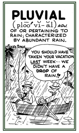 A reference to rain or characterized by abundant rain.