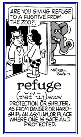 Protection or shelter.