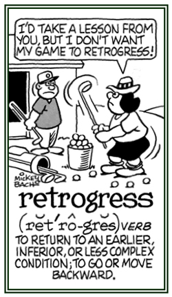 Word of the Day - saltigrade