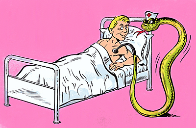 Aesculapian snake serving as a nurse.