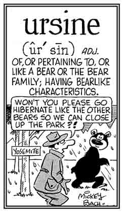 Bearlike characteristics such as a bear.