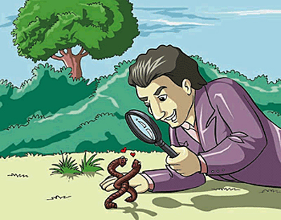 A zoologists is using a magnifying glass to observe insects.