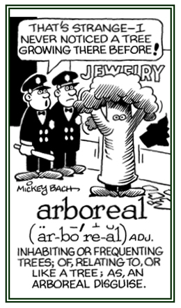 arbor-, arbori- - Word Information